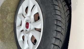 
									FIAT PANDA pieno								