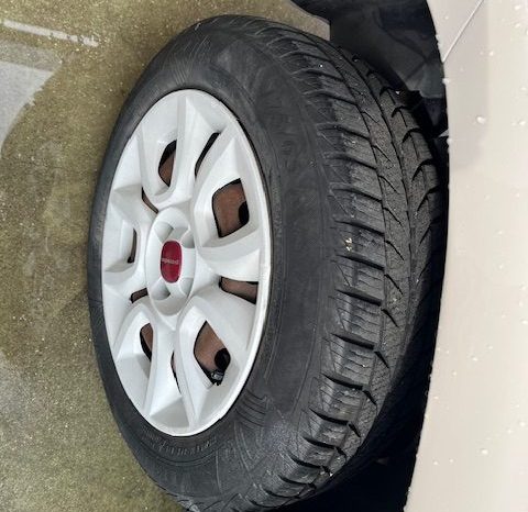
								FIAT PANDA pieno									