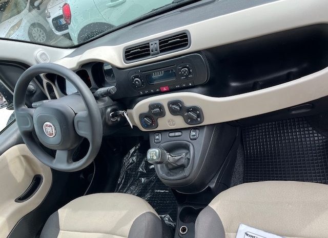 
								FIAT PANDA pieno									