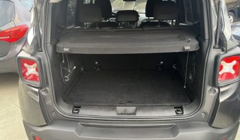
									JEEP RENEGADE GPL CASA MADRE pieno								